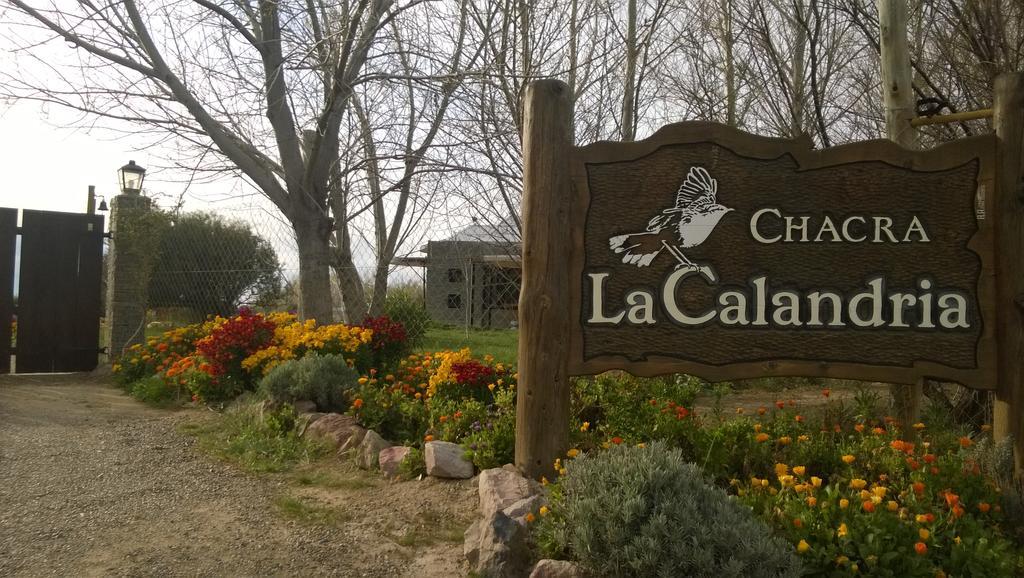 Вилла La Calandria Casa De Campo Пуэрто-Мадрин Экстерьер фото