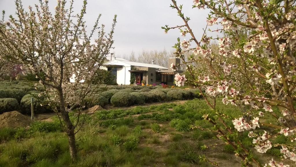 Вилла La Calandria Casa De Campo Пуэрто-Мадрин Экстерьер фото
